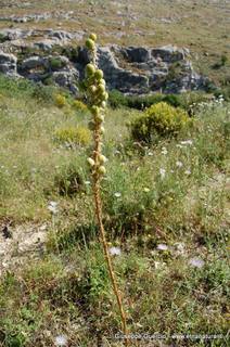 ntana Paradiso-15-05-2014 17-38-06
